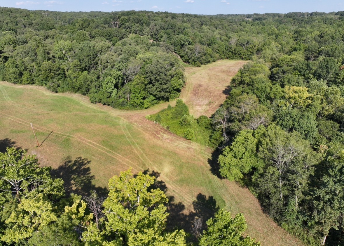 8 John Ross Hollow Road Erin, TN 37061 - Photo 3 of 14