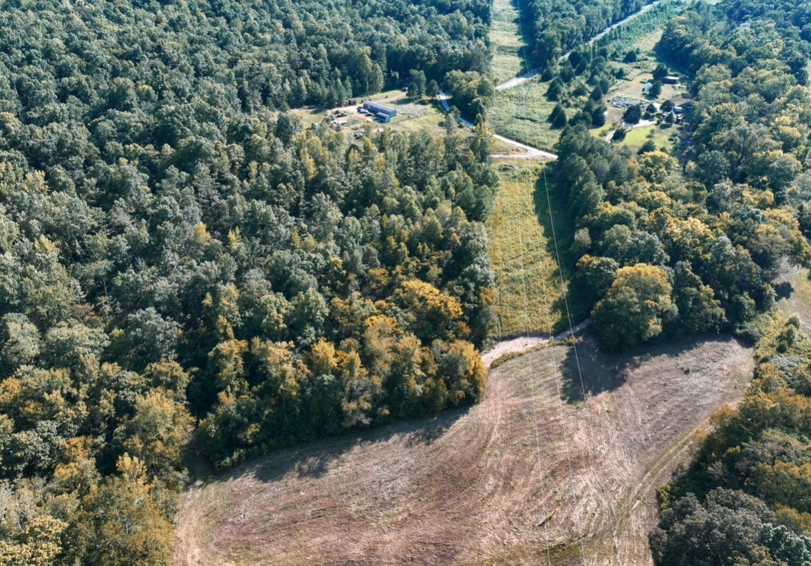 8 John Ross Hollow Road Erin, TN 37061 - Photo 10 of 14