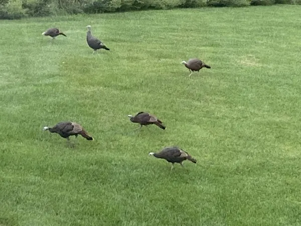 $665,000 | 1200 James B Young Road, Galva, IL 61434