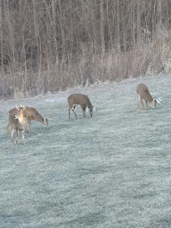 $665,000 | 1200 James B Young Road, Galva, IL 61434