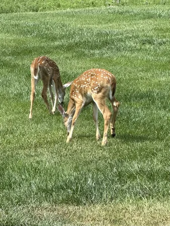 $665,000 | 1200 James B Young Road, Galva, IL 61434