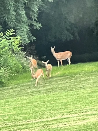 $665,000 | 1200 James B Young Road, Galva, IL 61434