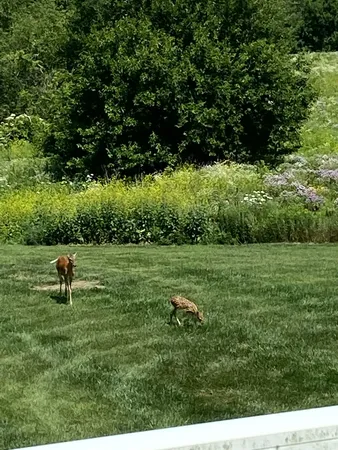 $665,000 | 1200 James B Young Road, Galva, IL 61434