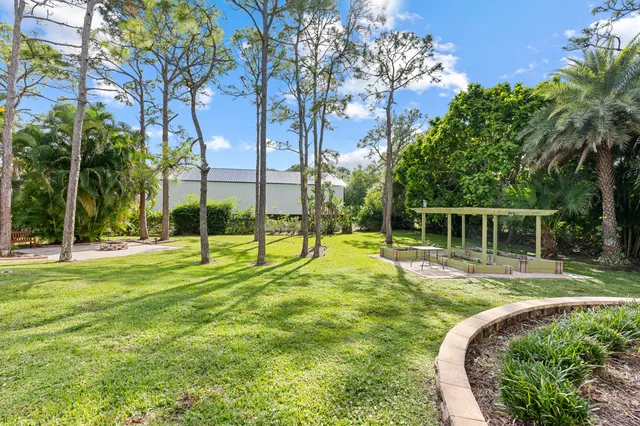 a view of a park with large trees