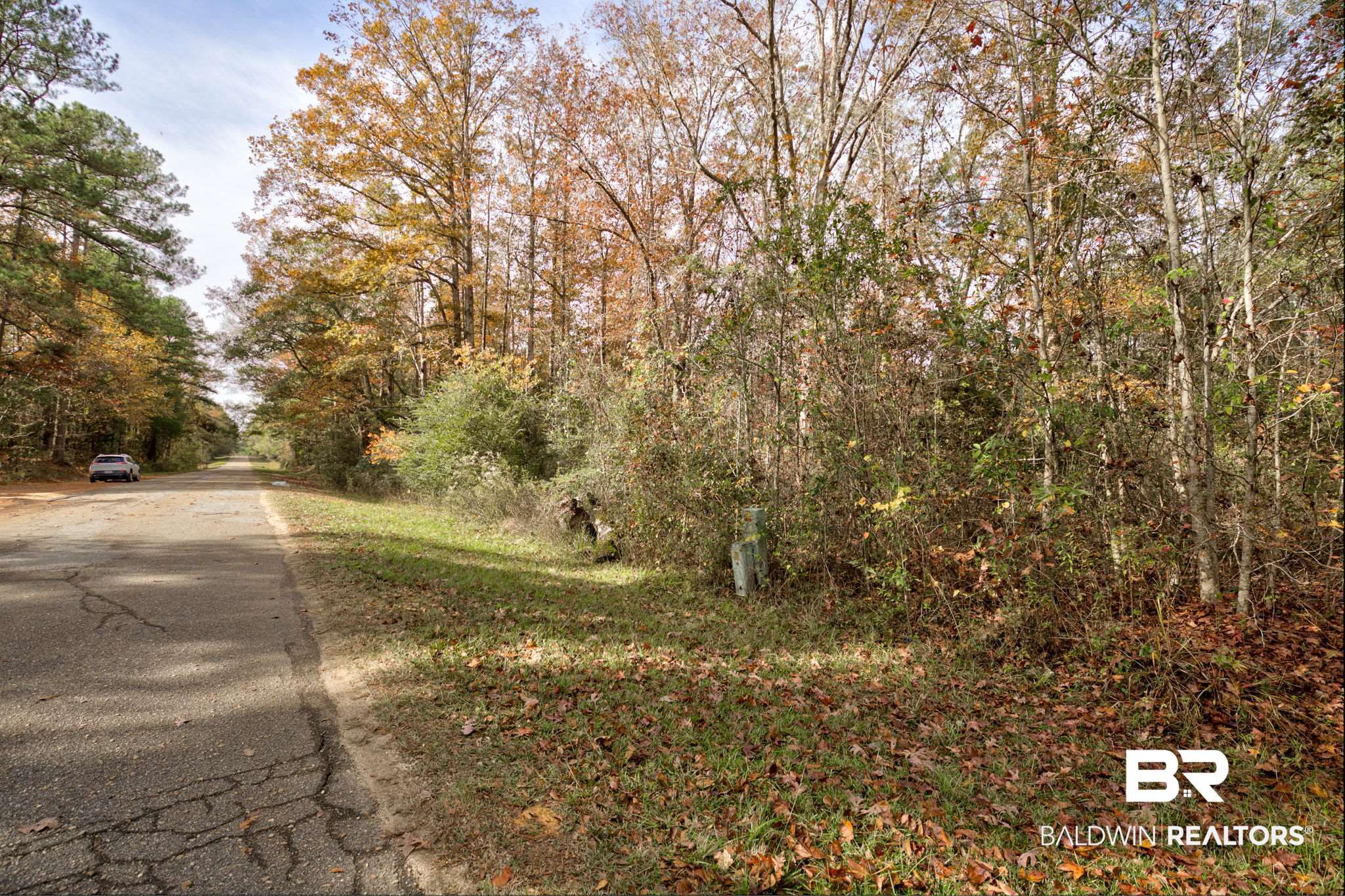 Old Greenville Road Evergreen, AL 36401 - Photo 10 of 16