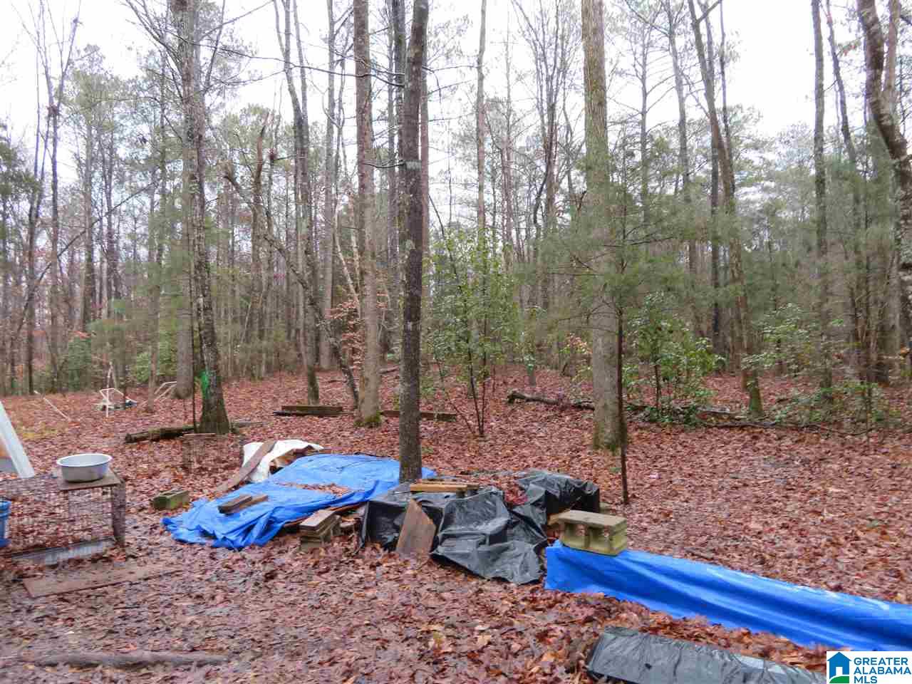 138 Cedar Grove Road West Blocton, AL 35184 - Photo 4 of 44