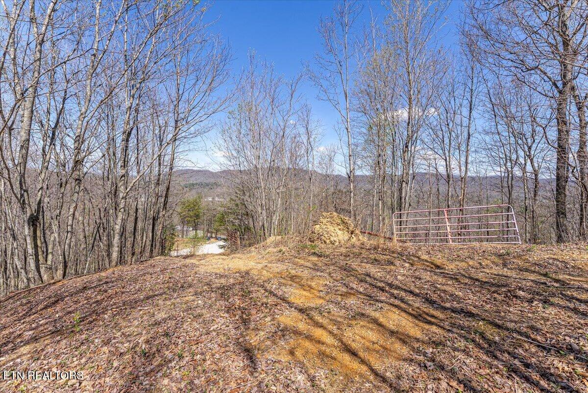 422 Crooked Branch Road Huntsville, TN 37756 - Photo 20 of 35 30-Entrance A5