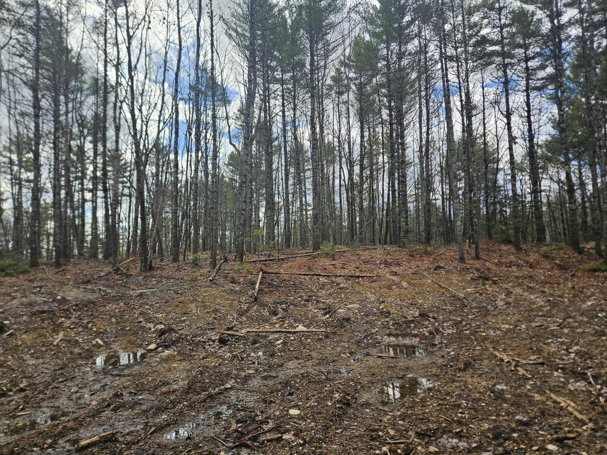 Lot 7 Rockland Road Somerville, ME 04348 - Photo 10 of 10
