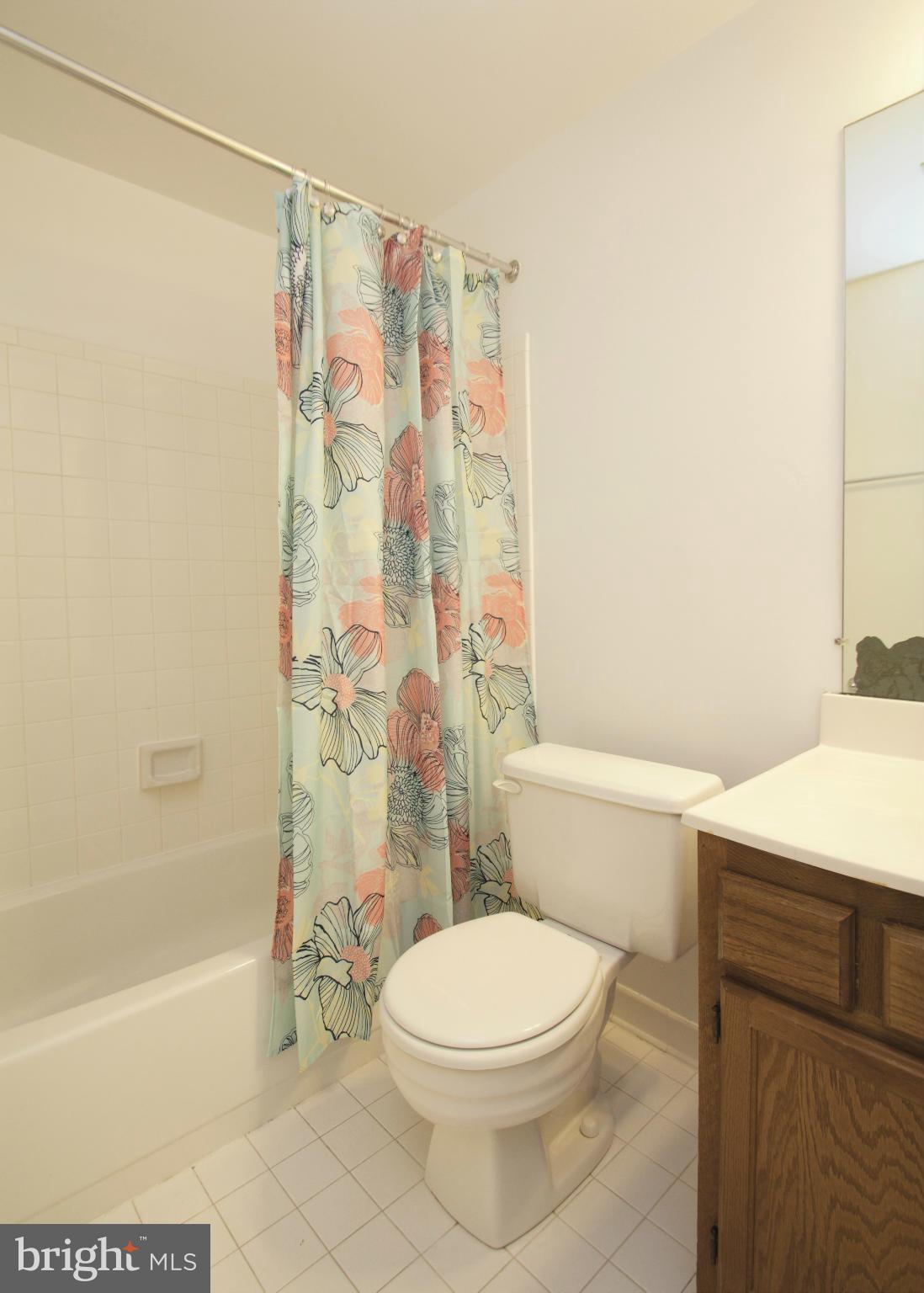 607 Concerto Lane Silver Spring, MD 20901 - Photo 16 of 19 Bath