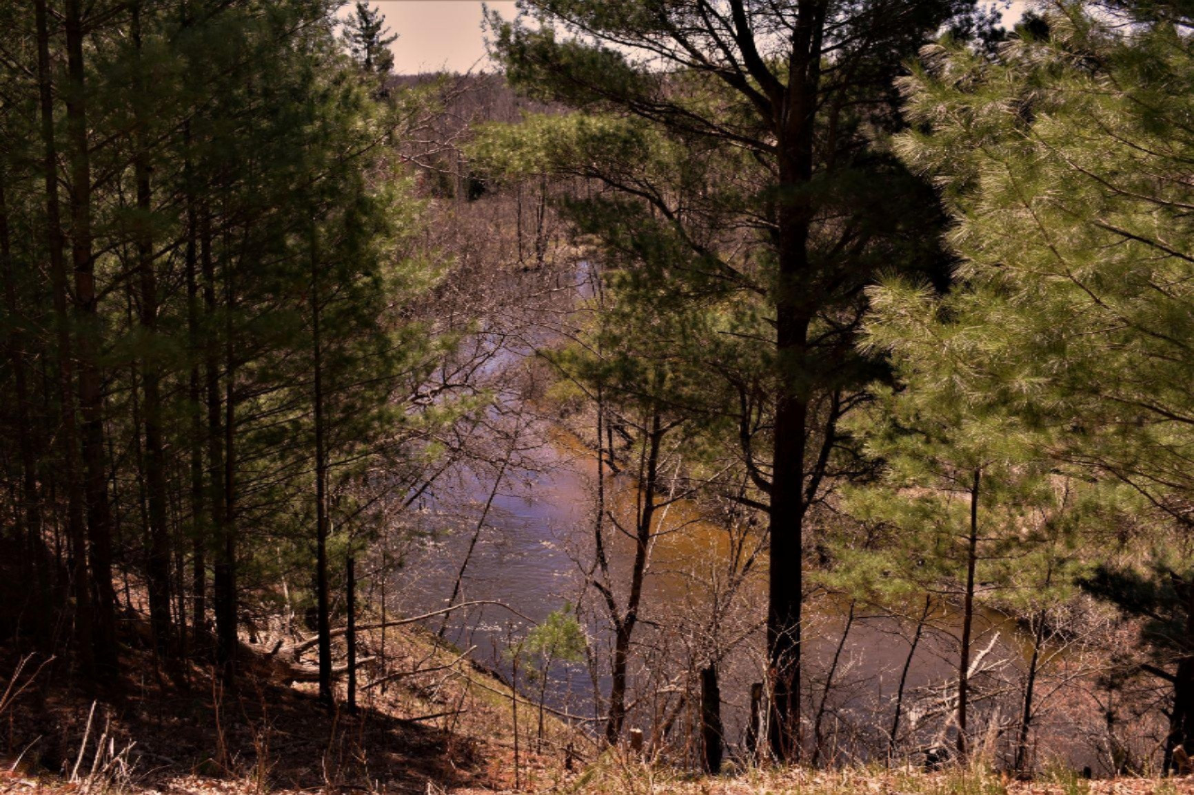7001 A Road Branch, MI 49402 - Photo 3 of 22 Main Riverfront Photo