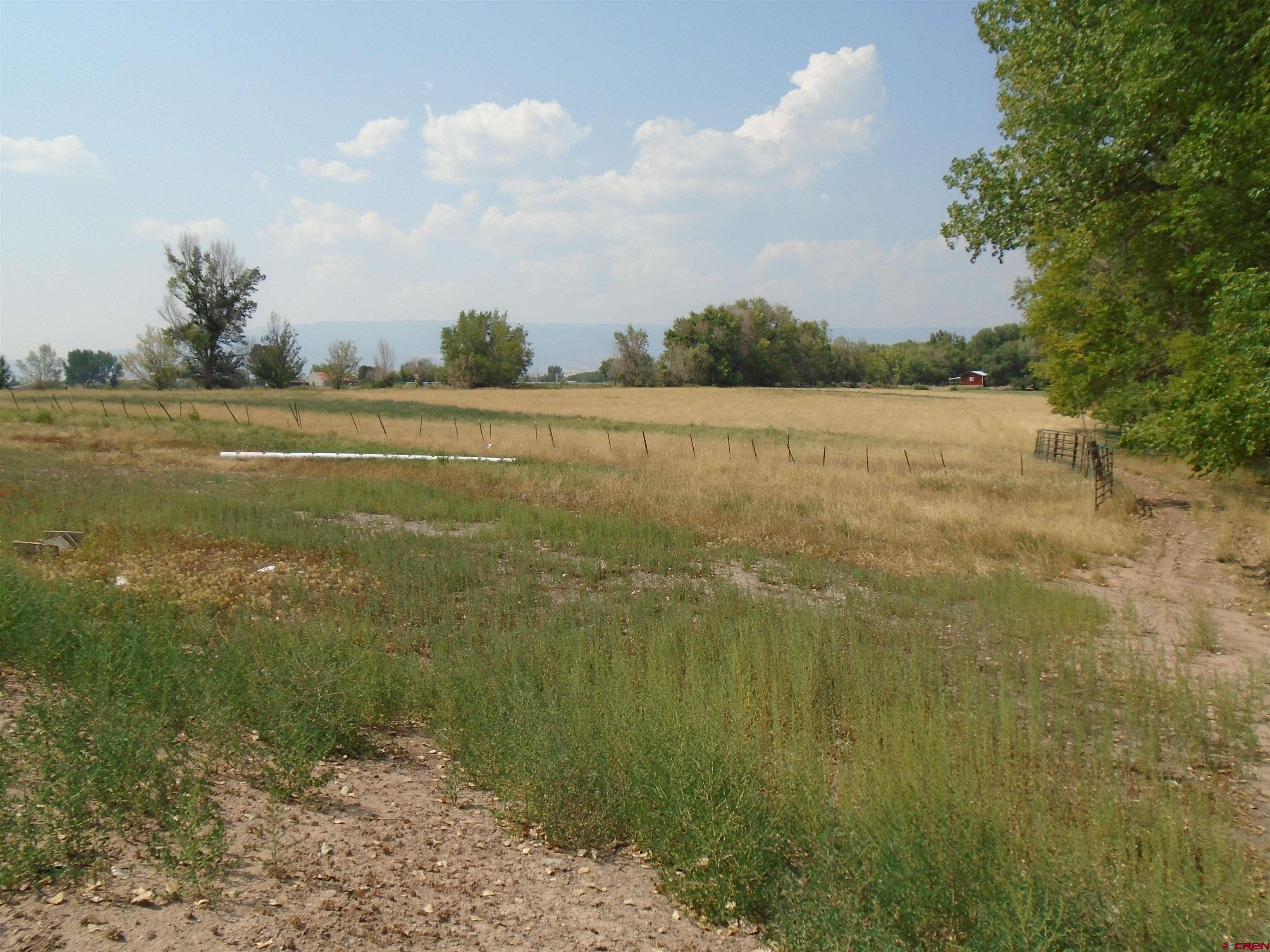 Lot 1 2150th Road Austin, CO 81410 - Photo 5 of 8 a view of an ocean and beach