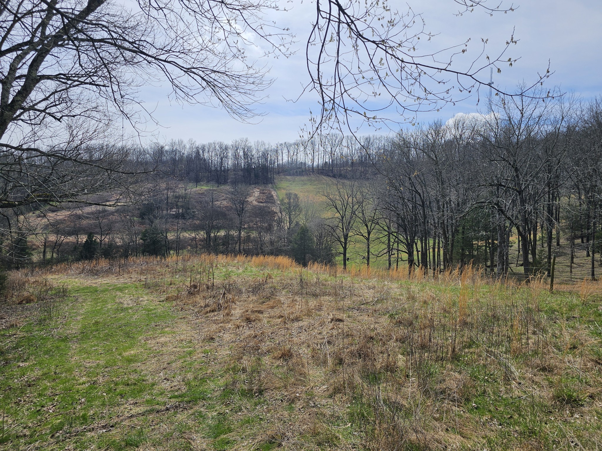 244 Access Road Pulaski, TN 38478 - Photo 27 of 34