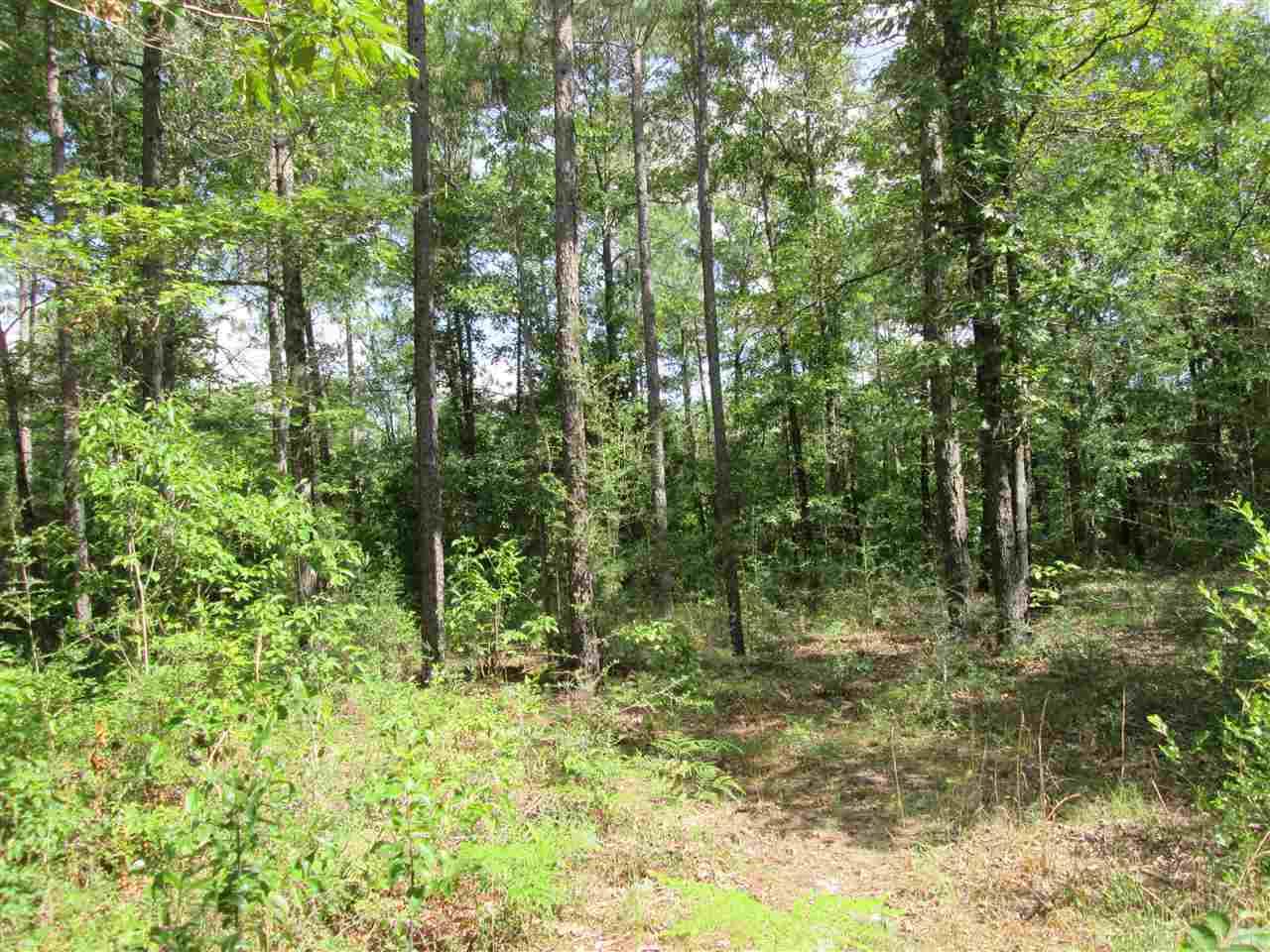 0 Parker Road Cantonment, FL 32533 - Photo 3 of 6 Gallery Image 3