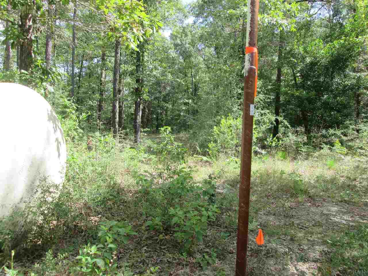 0 Parker Road Cantonment, FL 32533 - Photo 4 of 6 Gallery Image 4