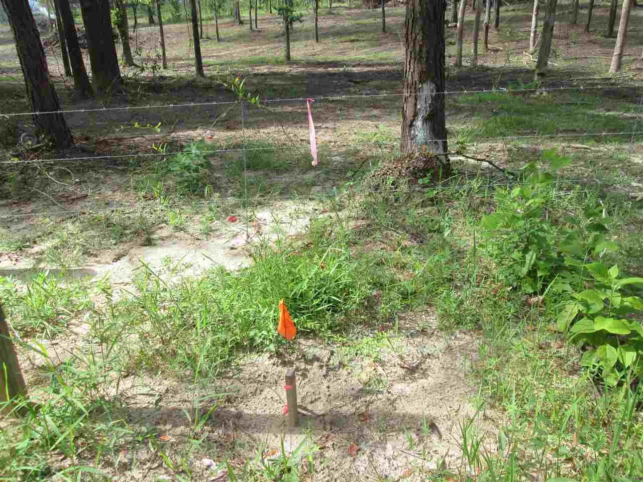 0 Parker Road Cantonment, FL 32533 - Photo 5 of 6 Gallery Image 5