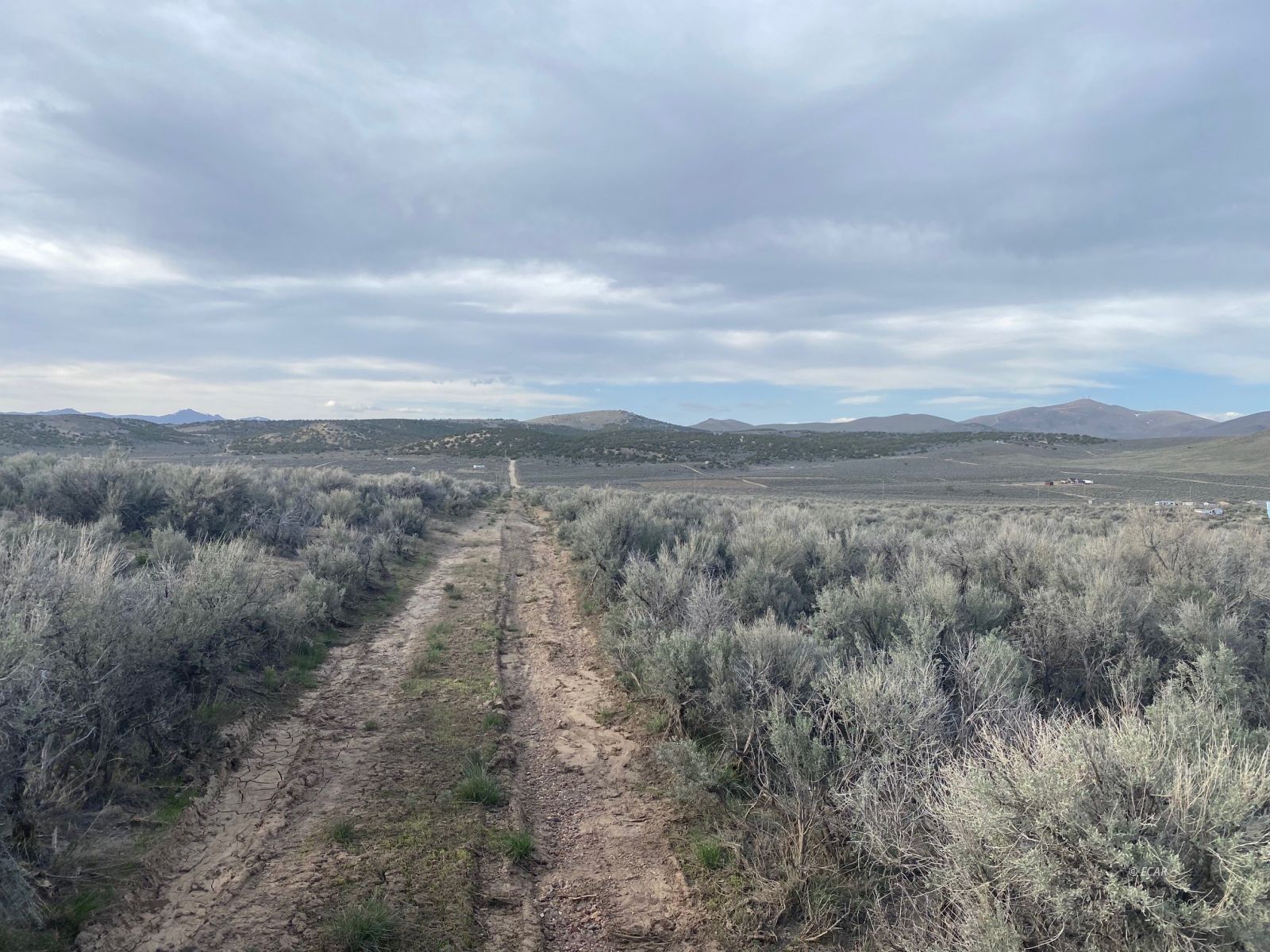 Fairview Avenue Spring Creek, NV 89815 - Photo 6 of 8