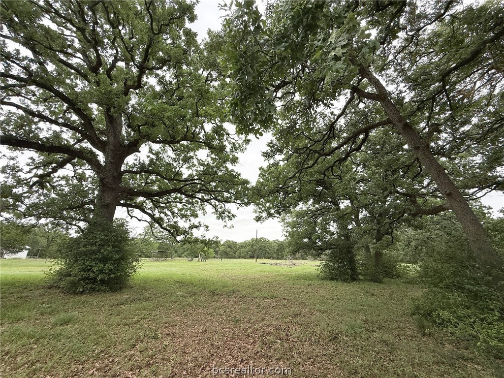 Tbd Wannabe Road Bryan, TX 77808 - Photo 20 of 25 a view of outdoor space and yard