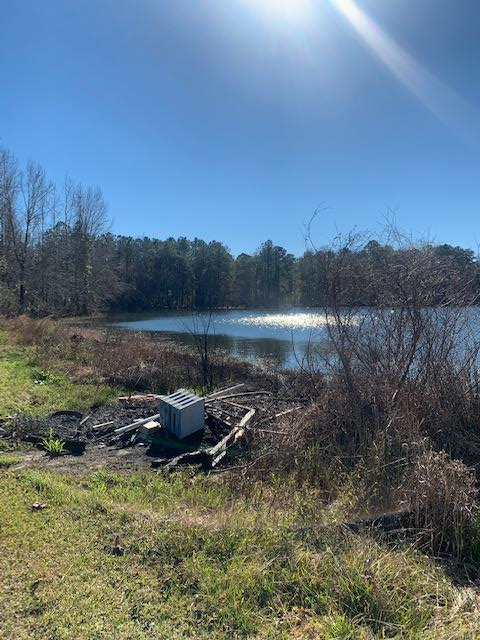 968 Middleton Road Dothan, AL 36301 - Photo 4 of 29 7.5 acre pond