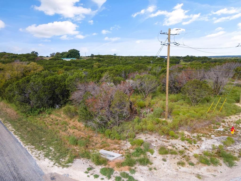 1005 County Road Nemo, TX 76070 - Photo 15 of 19 a view of a garden