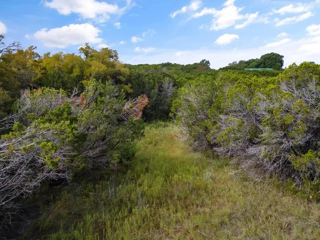 a view of a city with lush green forest