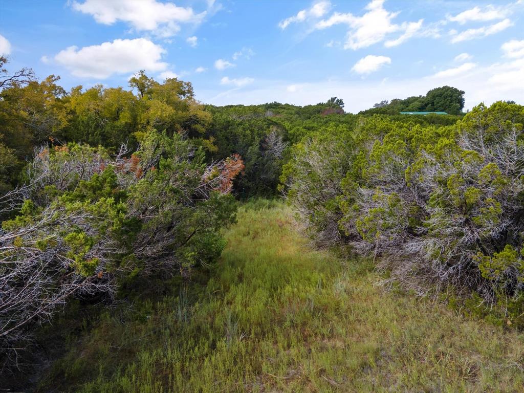 1005 County Road Nemo, TX 76070 - Photo 16 of 19 a view of a city with lush green forest