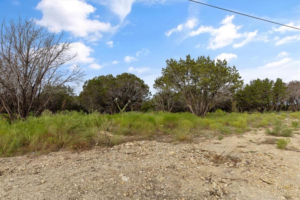 1005 County Road Nemo, TX 76070 - Photo 19 of 19 a view of a yard with a tree