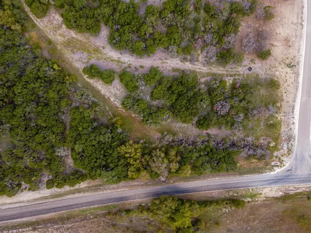 a view of a yard with plants
