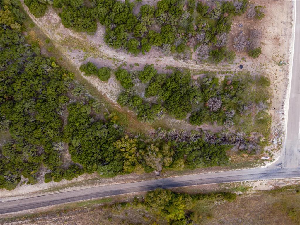 1005 County Road Nemo, TX 76070 - Photo 10 of 19 a view of a yard with plants