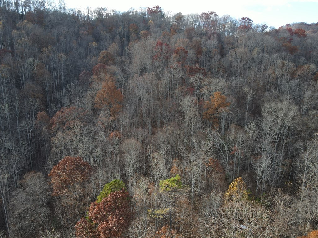 1218 Pinhook Road Robbinsville, NC 28771 - Photo 3 of 12