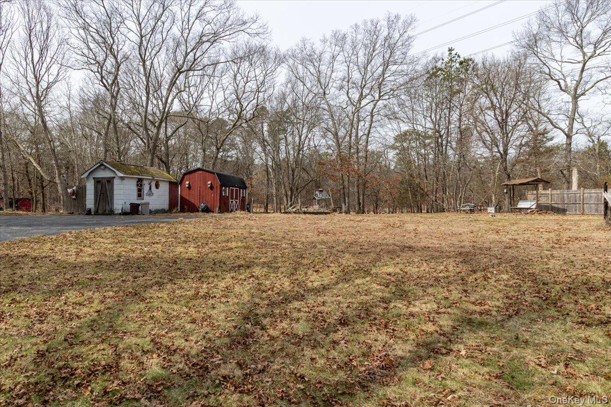 a view of large yard with large trees
