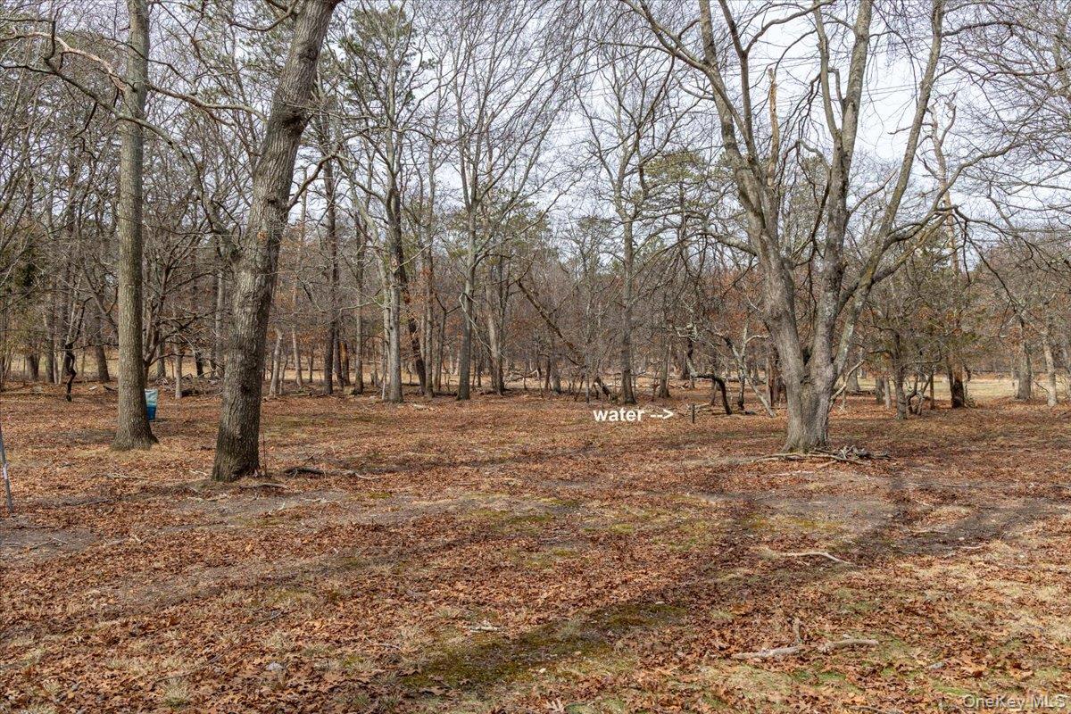 309 Primrose Path Manorville, NY 11949 - Photo 11 of 26 a view of outdoor space with trees
