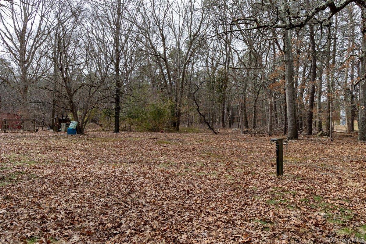 309 Primrose Path Manorville, NY 11949 - Photo 12 of 26 a backyard of a house with lots of green space