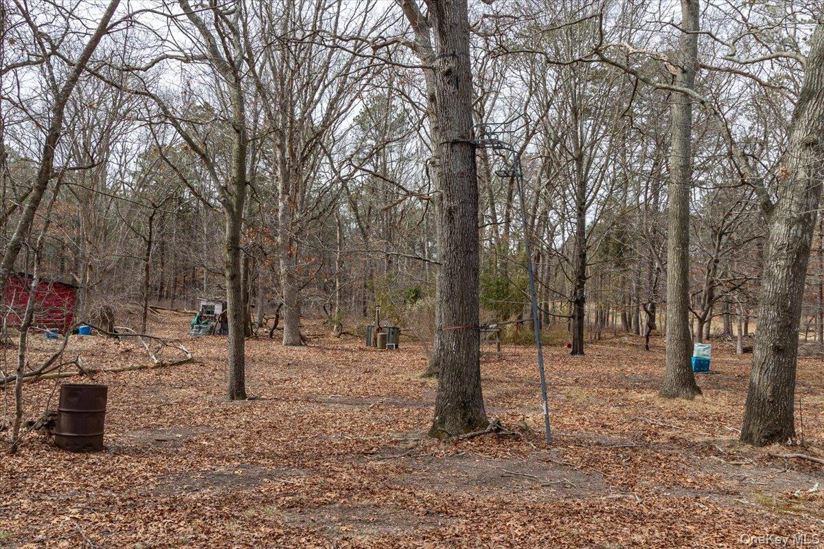 309 Primrose Path Manorville, NY 11949 - Photo 13 of 26 a view of a tree in a yard