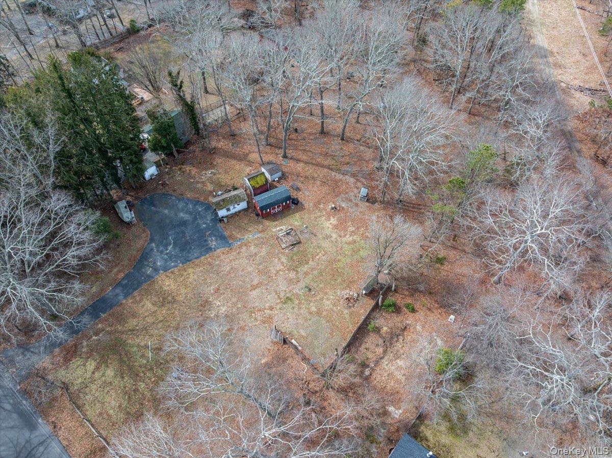 309 Primrose Path Manorville, NY 11949 - Photo 16 of 26 a view of backyard with trees