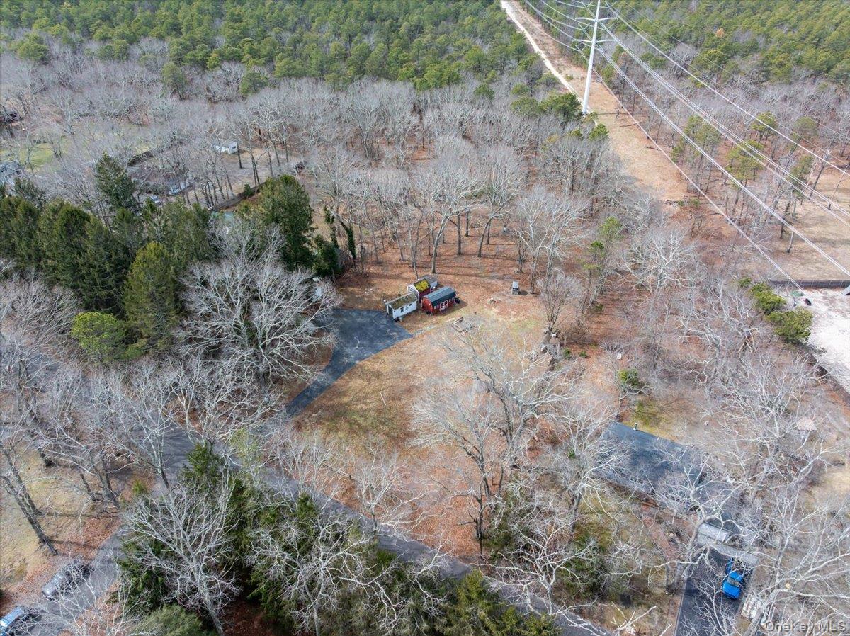 309 Primrose Path Manorville, NY 11949 - Photo 19 of 26 a view of a yard with a tree