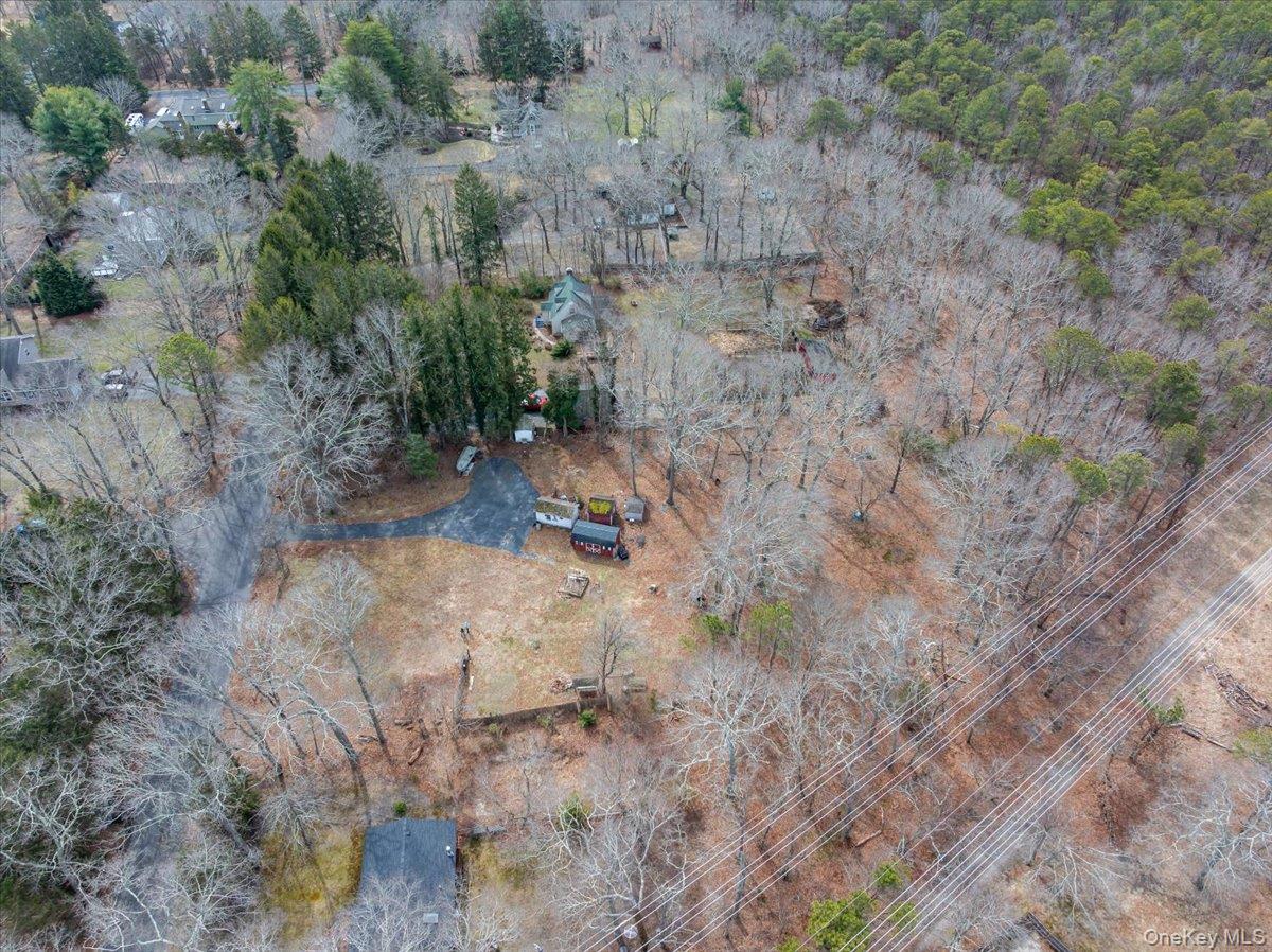 309 Primrose Path Manorville, NY 11949 - Photo 20 of 26 a view of a yard with a tree