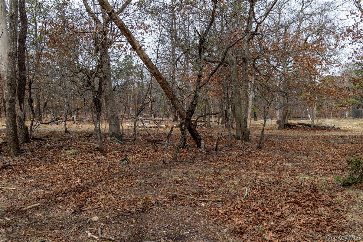 309 Primrose Path Manorville, NY 11949 - Photo 22 of 26 a view of a yard with a tree