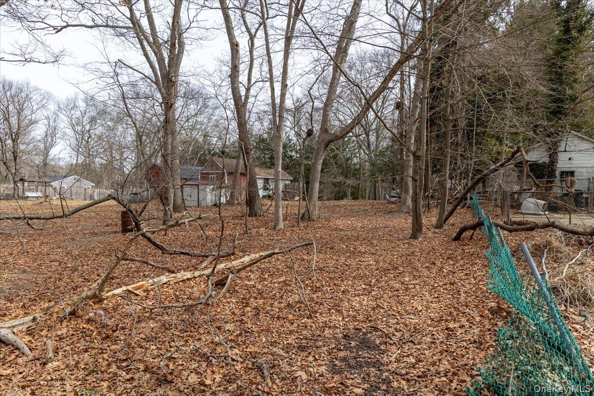 309 Primrose Path Manorville, NY 11949 - Photo 25 of 26 a view of a yard with a tree
