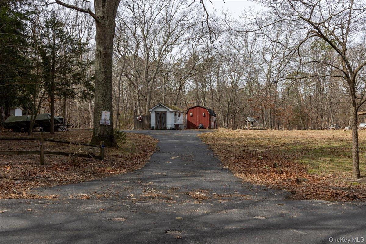309 Primrose Path Manorville, NY 11949 - Photo 7 of 26 a view of a yard with large trees