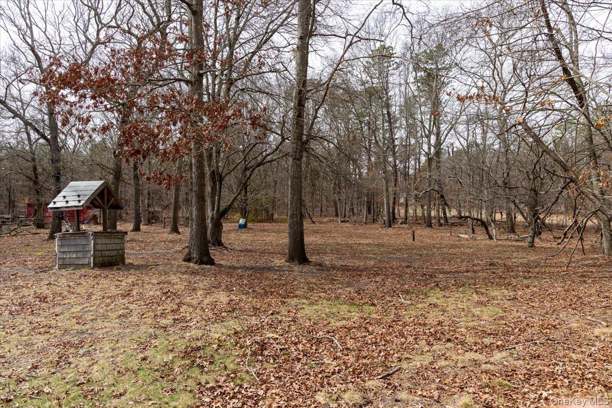 309 Primrose Path Manorville, NY 11949 - Photo 9 of 26 a view of a yard with a tree