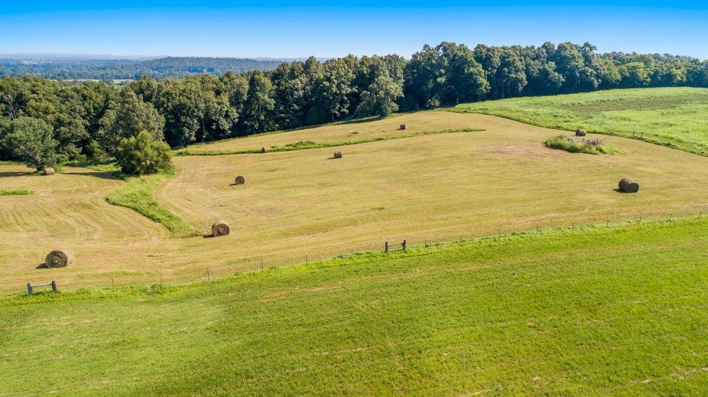 1336 Bethany Church Road Princeton, KY 42445 - Photo 60 of 70 DJI_0485.jpg-SMALL