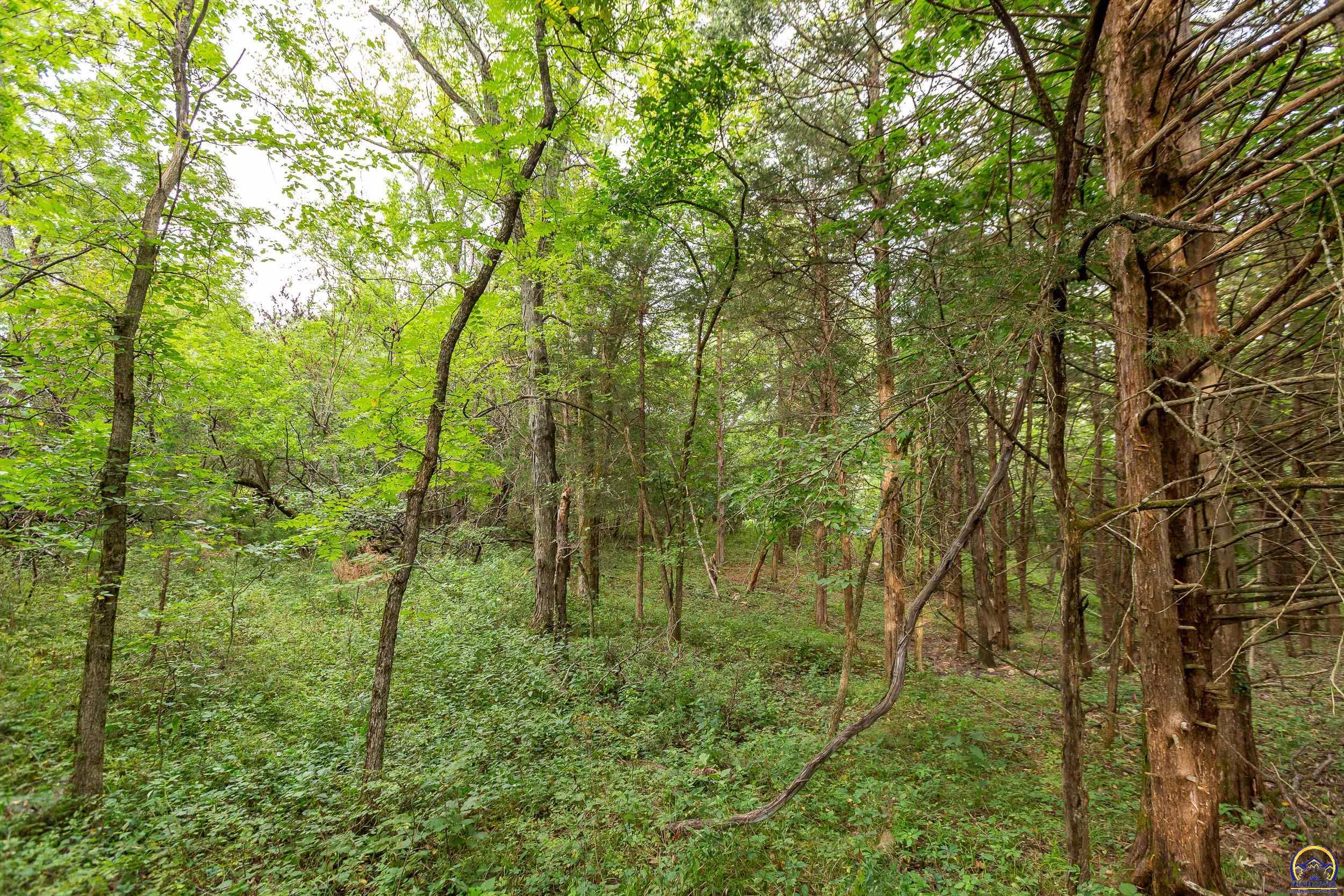 0 198th Road Holton, KS 66436 - Photo 63 of 94 Gallery Image 63