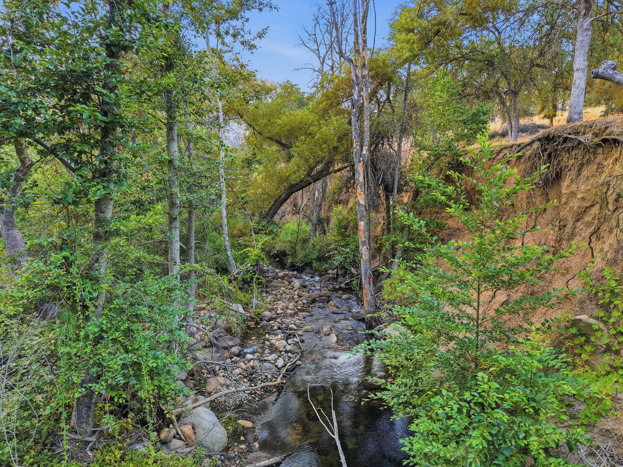 Three Rivers Ca Three Rivers, CA 93271 - Photo 3 of 15 83-44159_Redbud_Trail_082