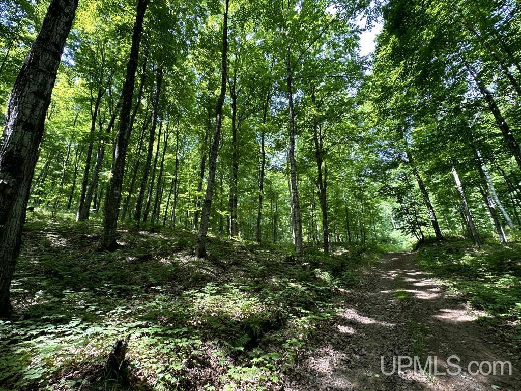 0 County Road 553 Road Marquette, MI 49855 - Photo 38 of 38
