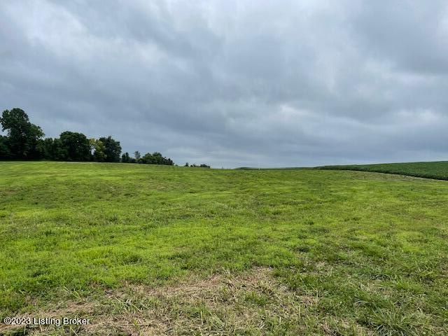 6600 Old Zaring Road Buckner, KY 40010 - Photo 4 of 7 tays land4