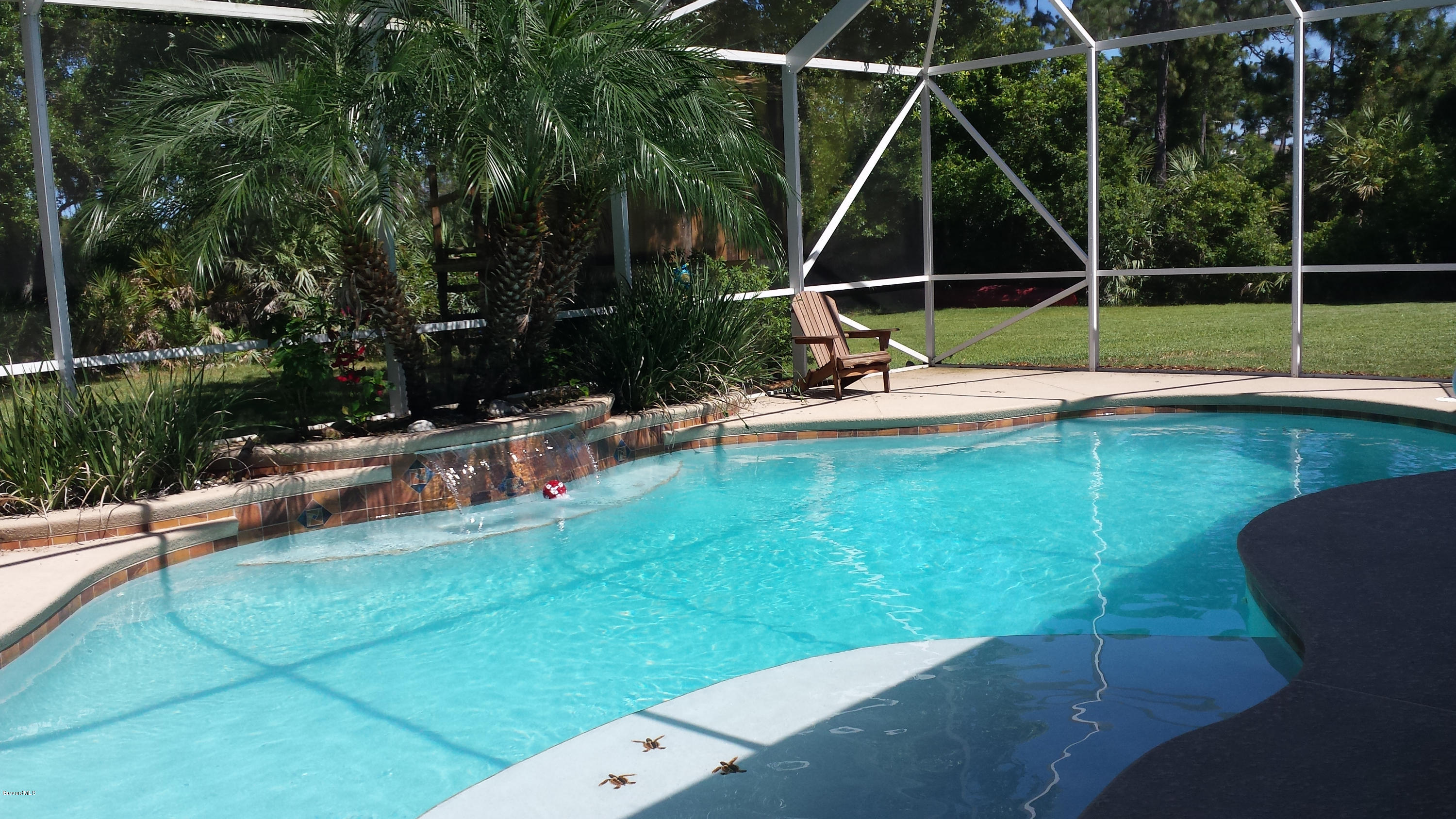 4243 Turtle Mound Road Melbourne, FL 32934 - Photo 6 of 25 Gorgeous Pool Area