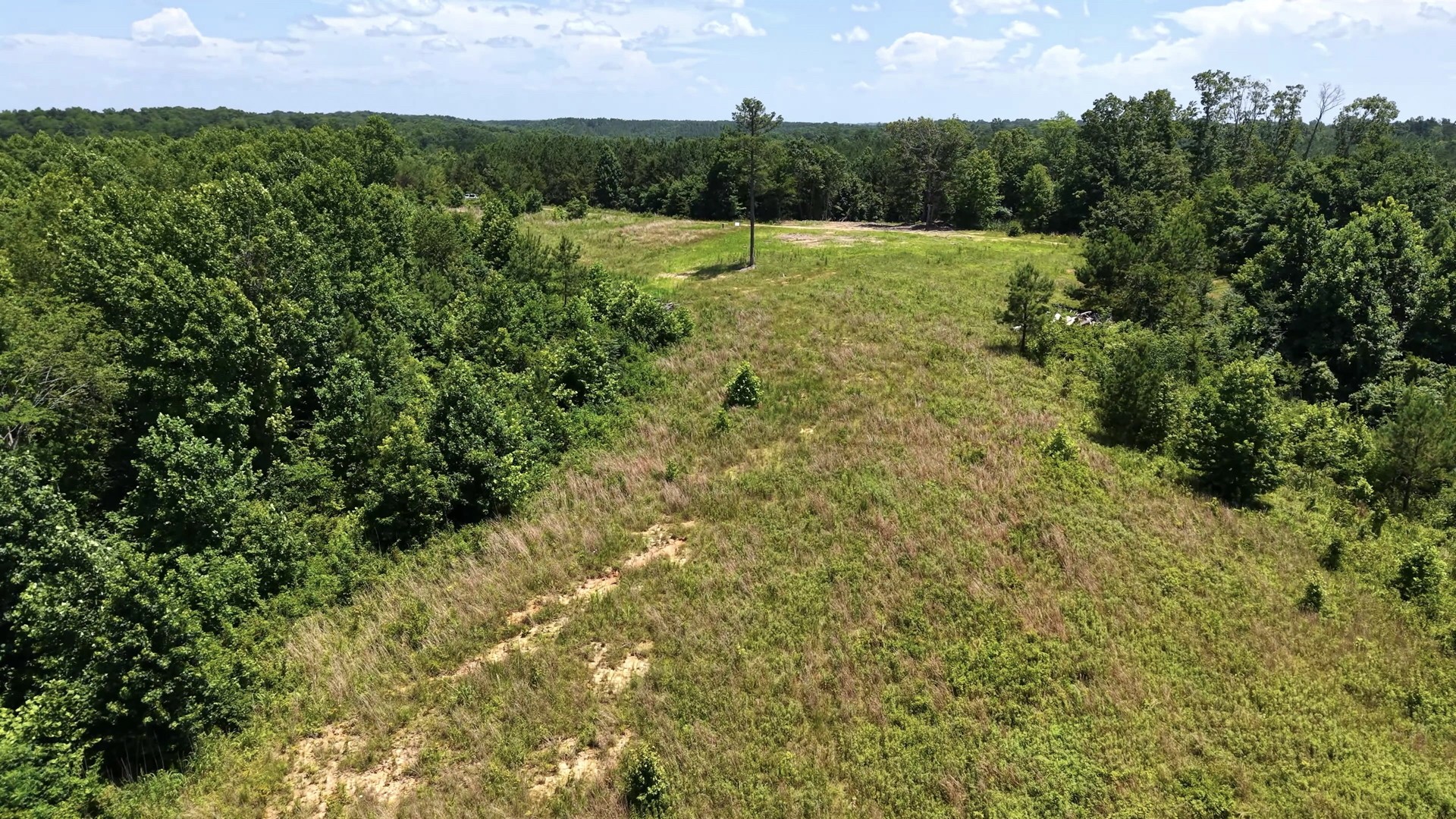 0 Cox Hollow Road Dover, TN 37058 - Photo 19 of 50 Gallery Image 19