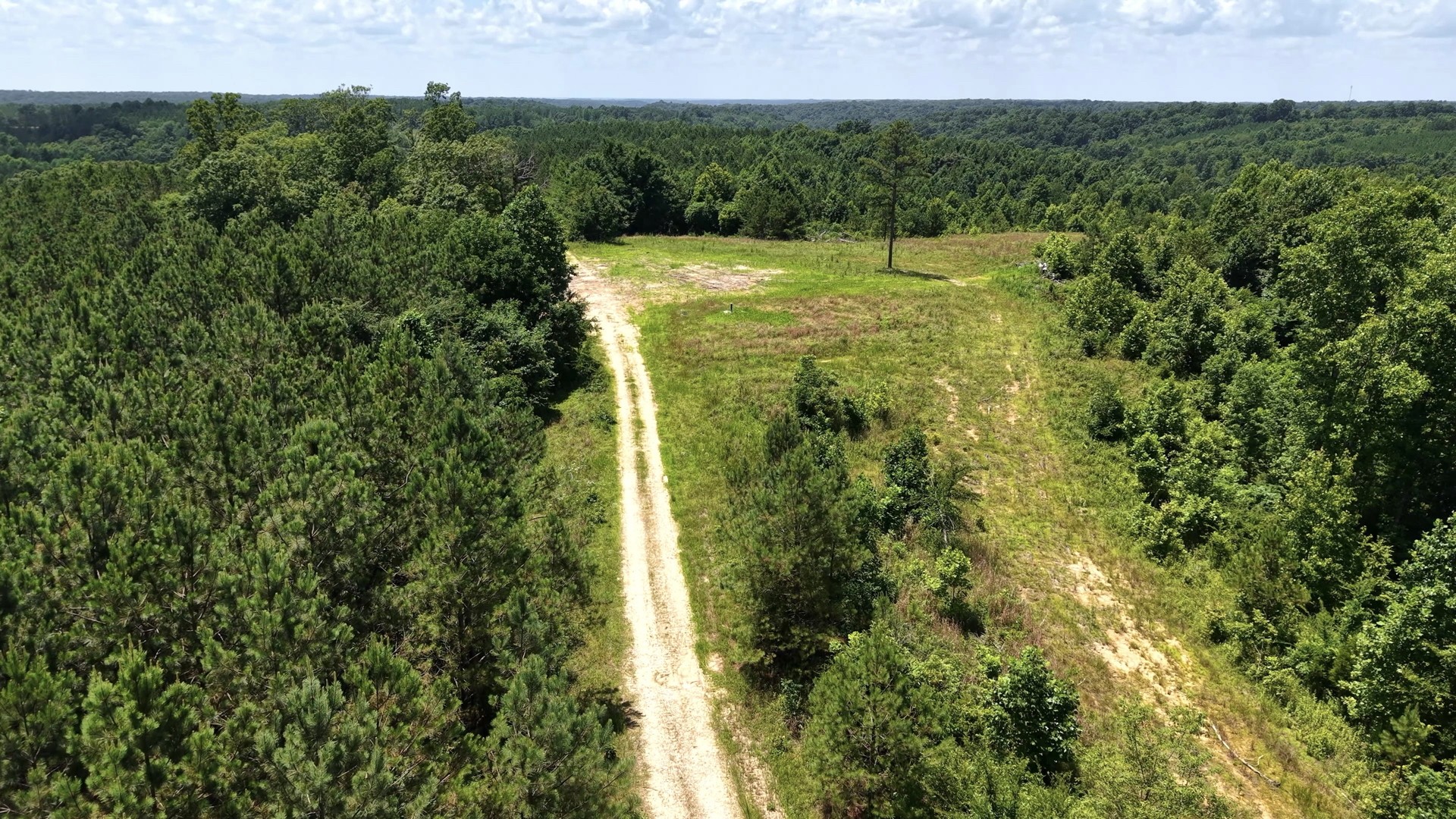 0 Cox Hollow Road Dover, TN 37058 - Photo 21 of 50 Gallery Image 21