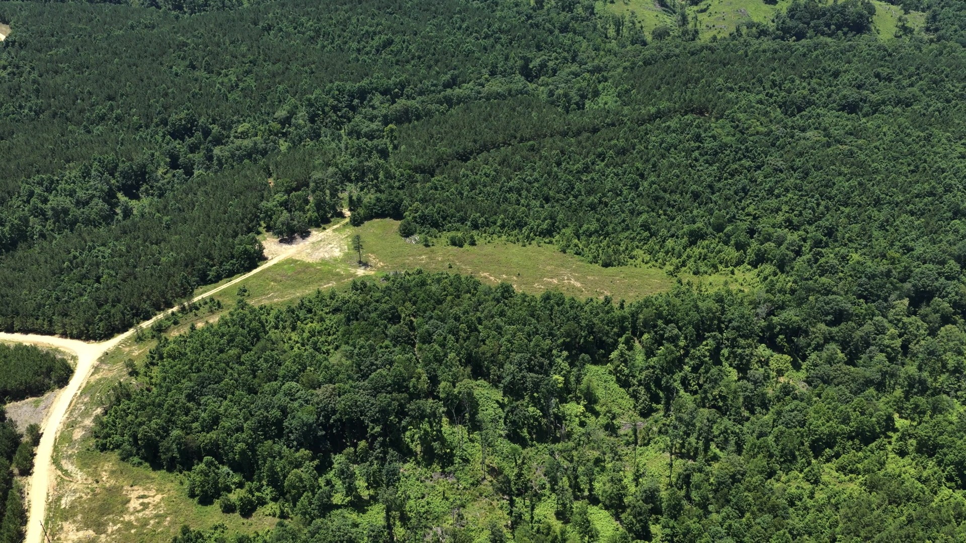 0 Cox Hollow Road Dover, TN 37058 - Photo 23 of 50 Gallery Image 23