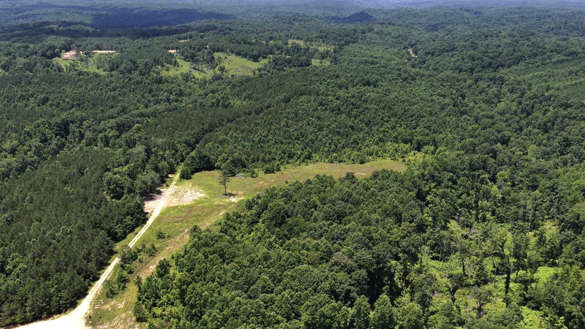 0 Cox Hollow Road Dover, TN 37058 - Photo 24 of 50 Gallery Image 24